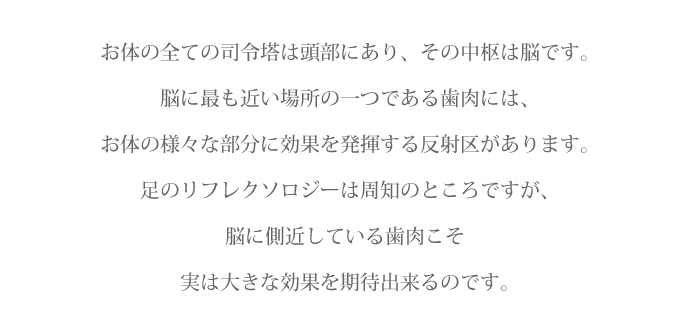 お体の全ての司令塔は頭部にあり、その中枢は脳です。脳に最も近い場所の一つである歯肉には、お体の様々な部分に効果を発揮する反射区があります。足のリフレクソロジーは周知のところですが、脳に側近している歯肉こそ実は、大きな効果を期待出来るのです。